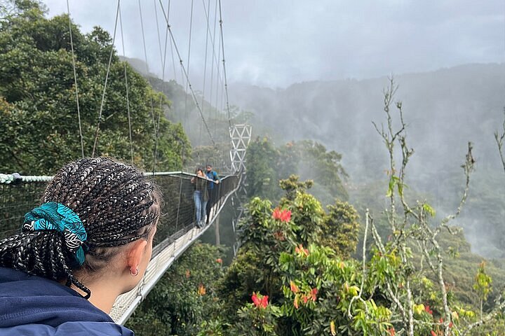 Nyungwe Forest Experience